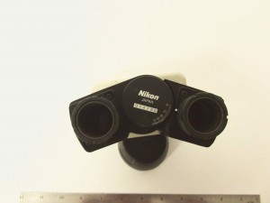 Optics Nikon Microscope